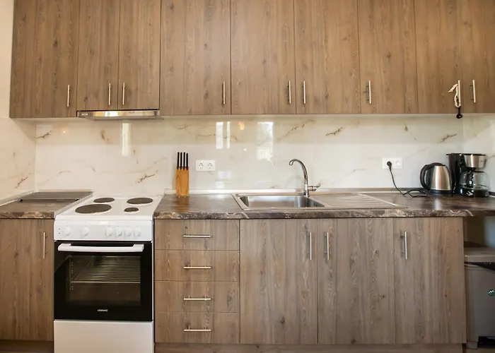 公寓 Leon By Rentalspro - Mouries Halkidiki 帕拉利亚狄奥尼索